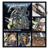 WARHAMMER 40K - Orks: Zodgrod Wortsnagga - HQ Figura