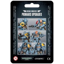 SPACE WOLVES PRIMARIS UPGRADES